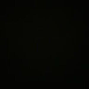 Meet your Posher, Emilia